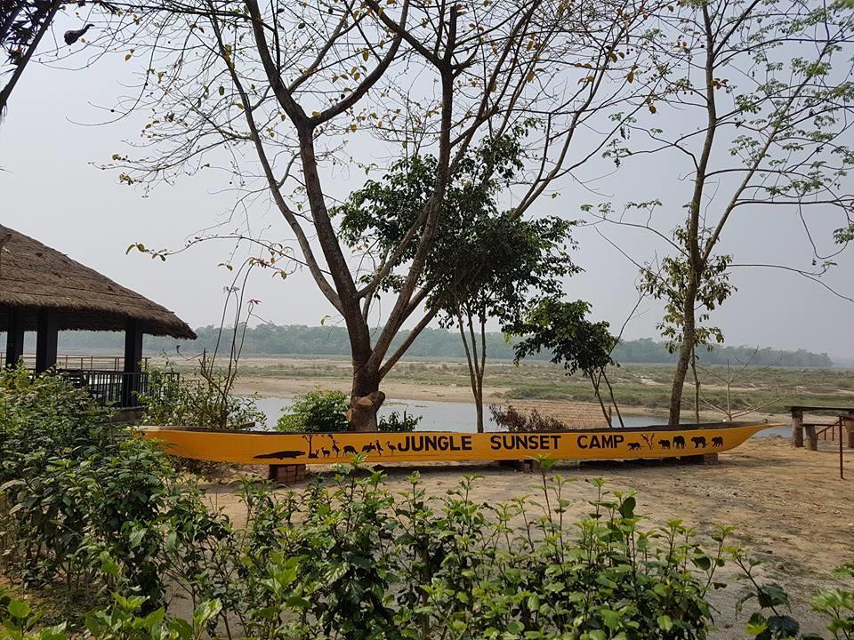 Jungle Sunset Camp Hotel Sauraha Bagian luar foto