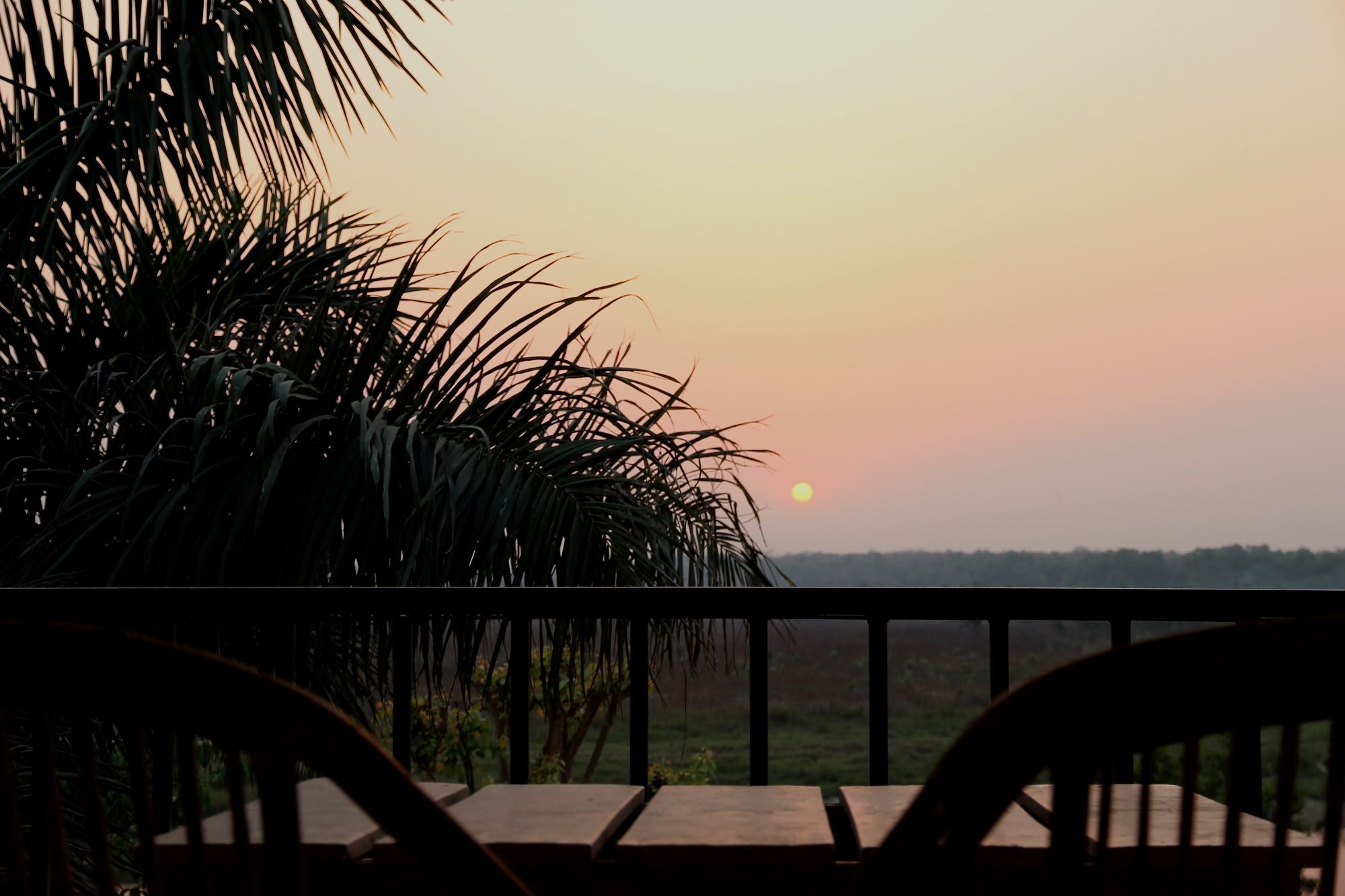 Jungle Sunset Camp Hotel Sauraha Bagian luar foto
