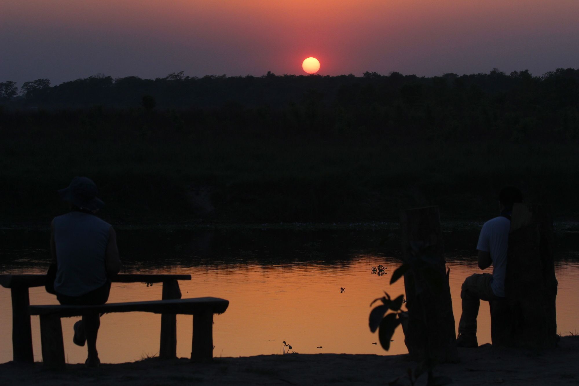 Jungle Sunset Camp Hotel Sauraha Bagian luar foto