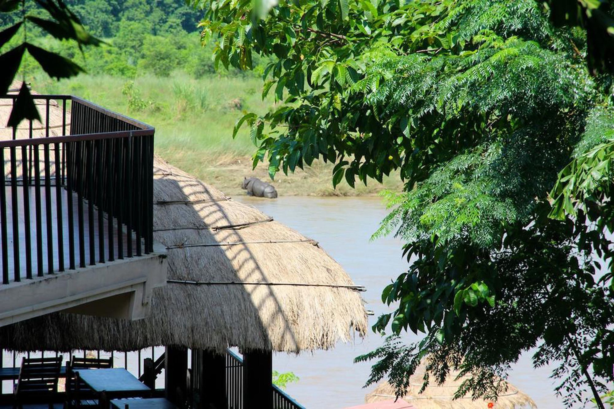 Jungle Sunset Camp Hotel Sauraha Bagian luar foto