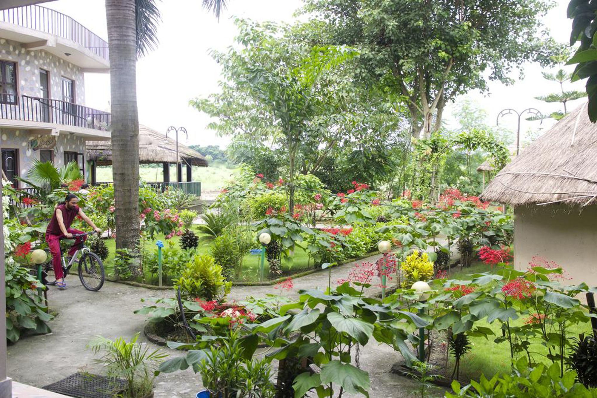 Jungle Sunset Camp Hotel Sauraha Bagian luar foto