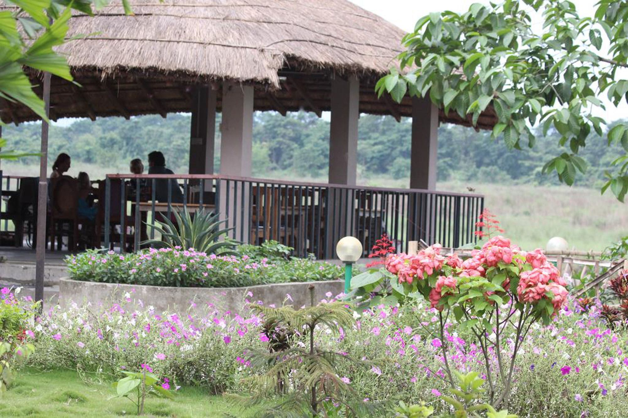 Jungle Sunset Camp Hotel Sauraha Bagian luar foto