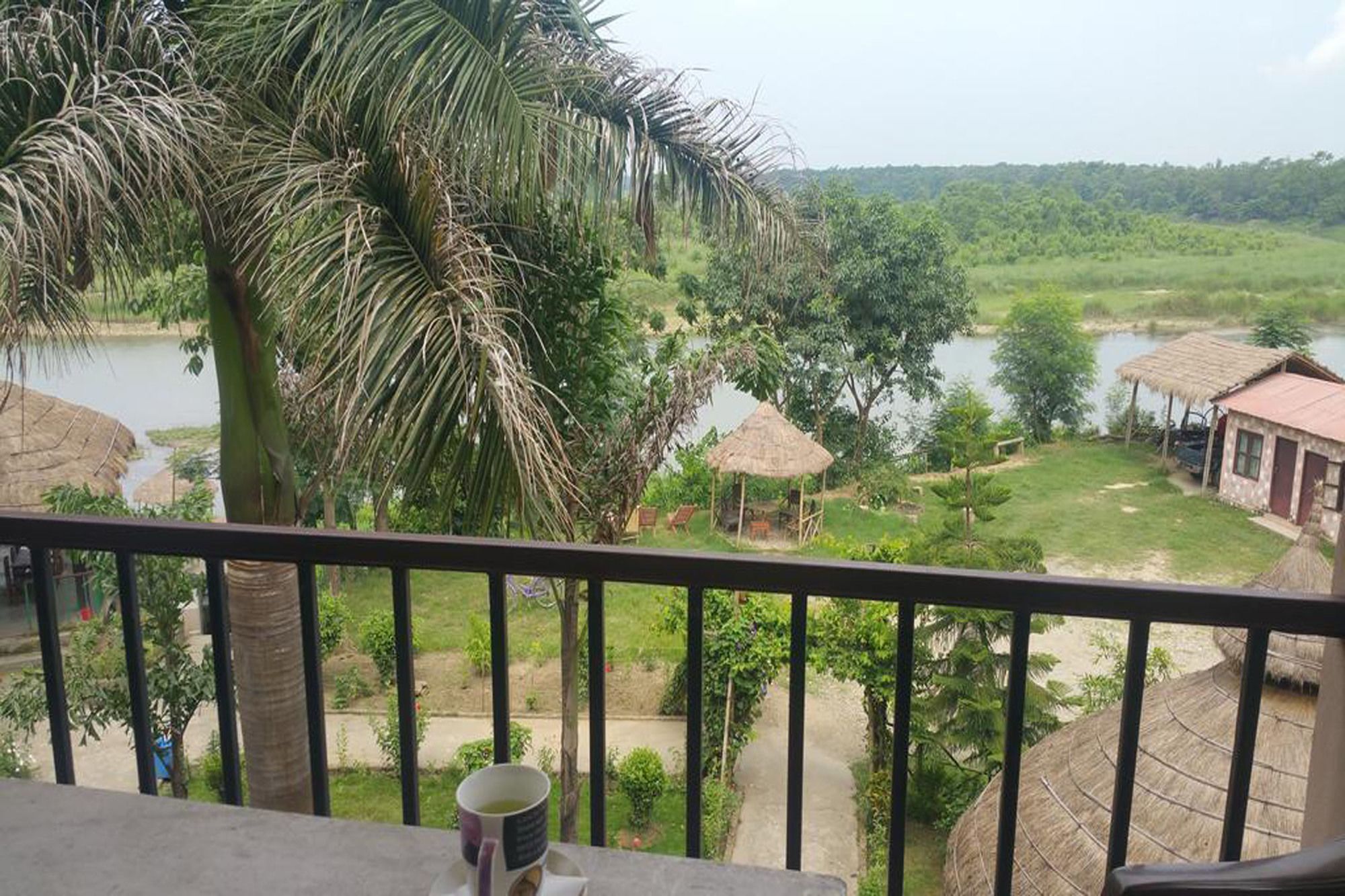 Jungle Sunset Camp Hotel Sauraha Bagian luar foto